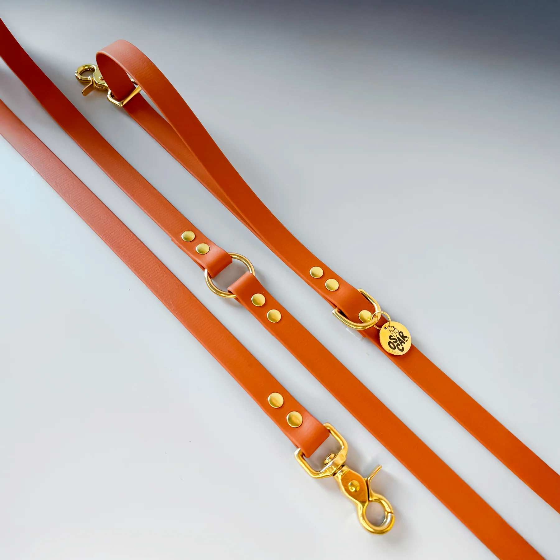 Laisse multi-positions