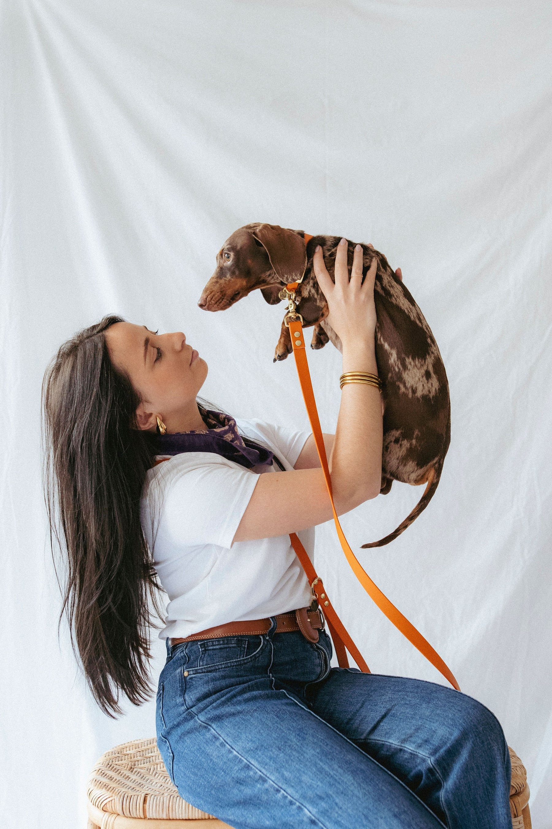 Laisse multi-positions