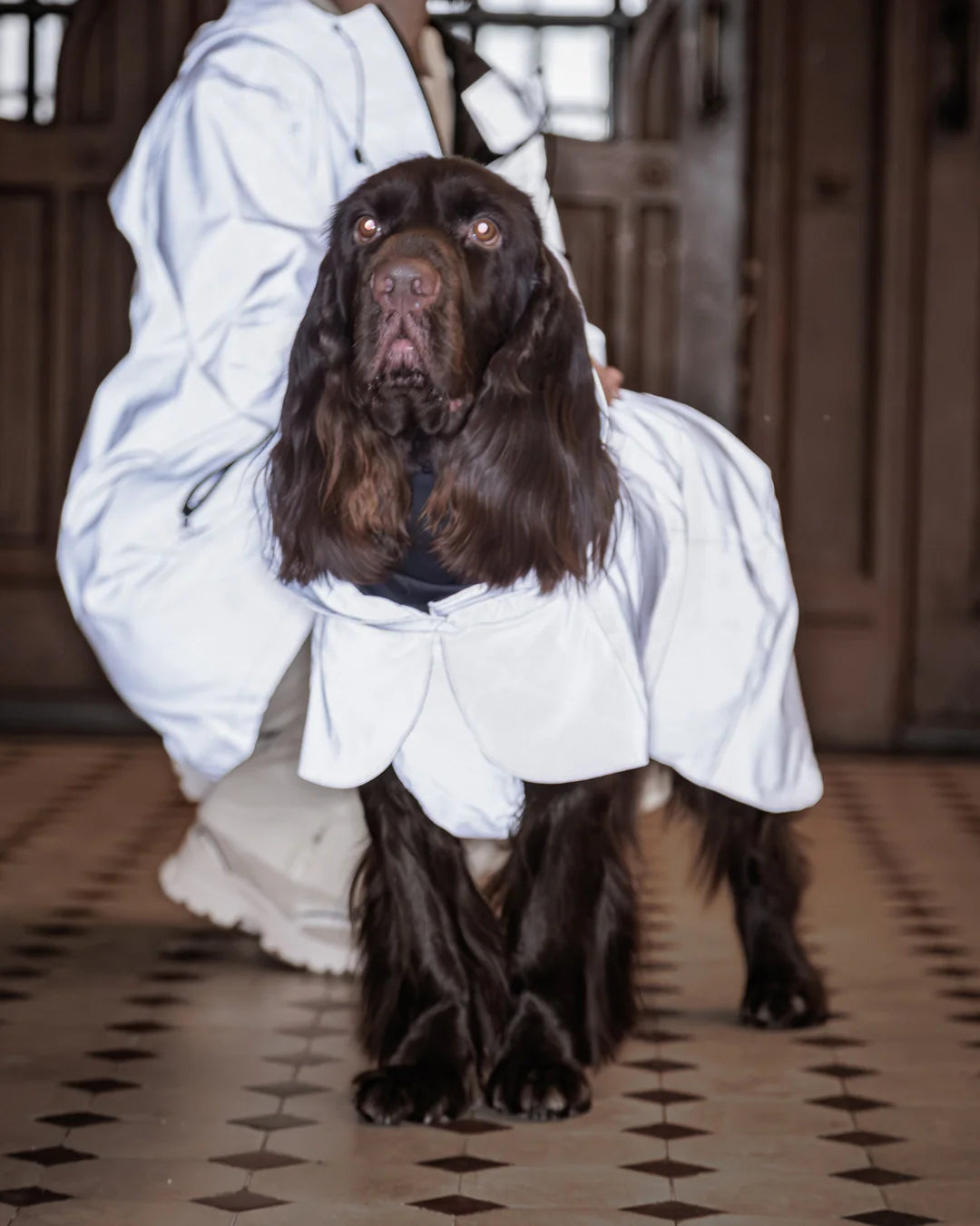 Imperméable réflechissant taupe