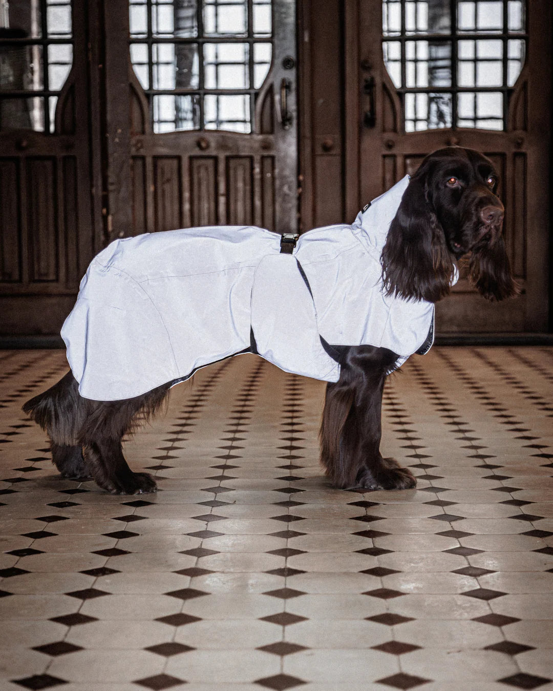 Imperméable réflechissant taupe