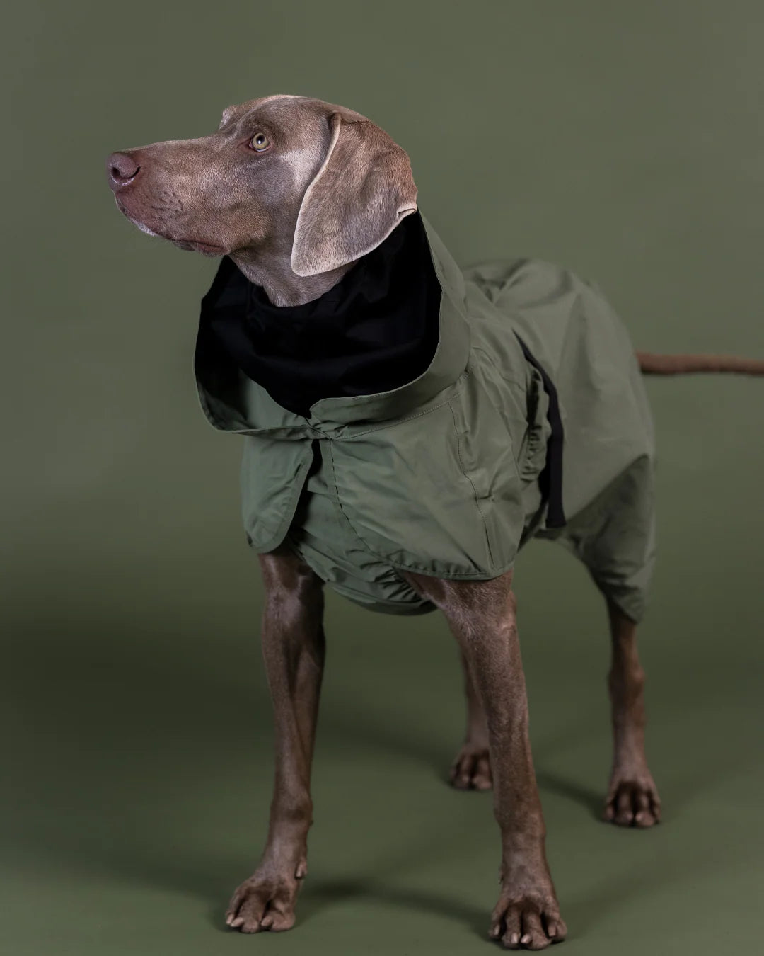 Imperméable réflechissant vert