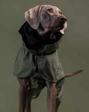 Imperméable réflechissant vert