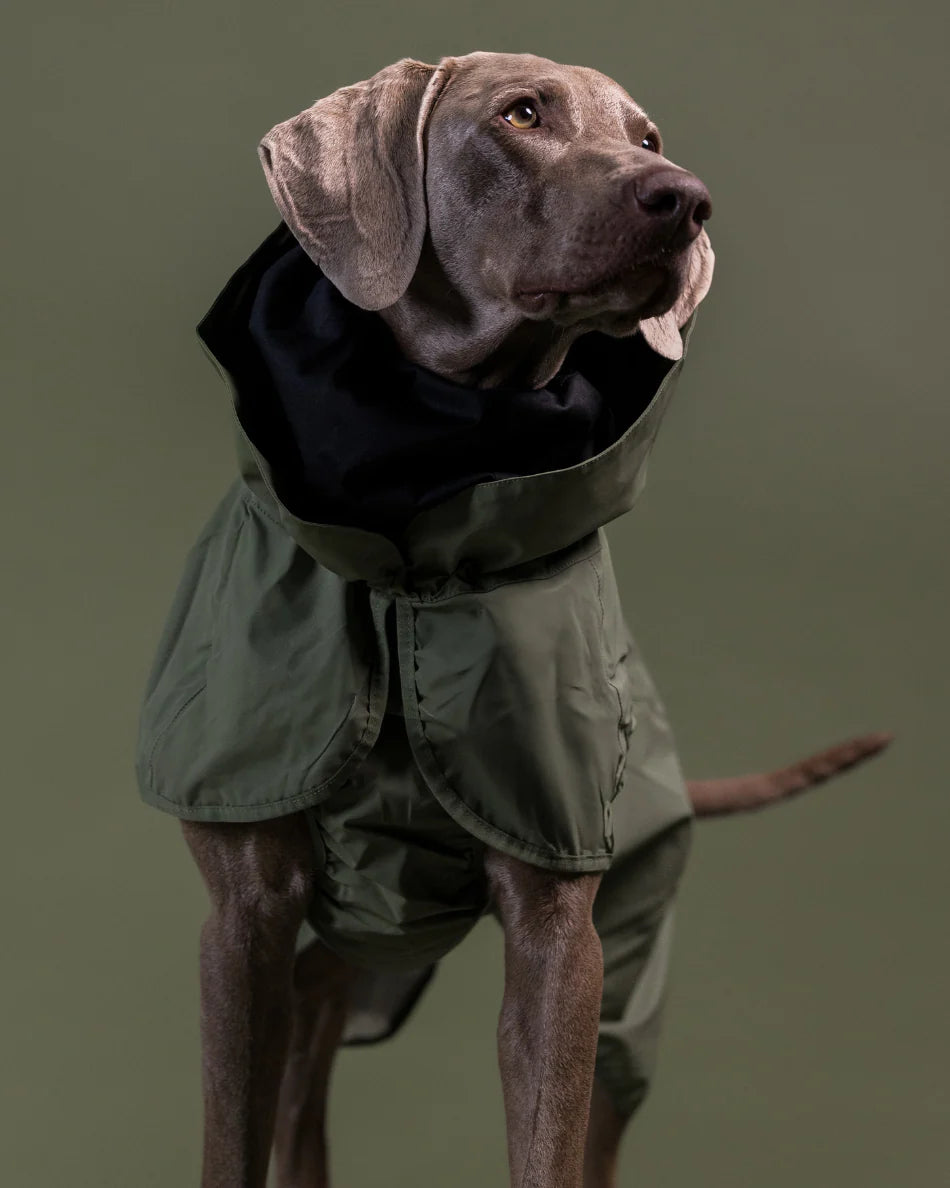 Imperméable réflechissant vert