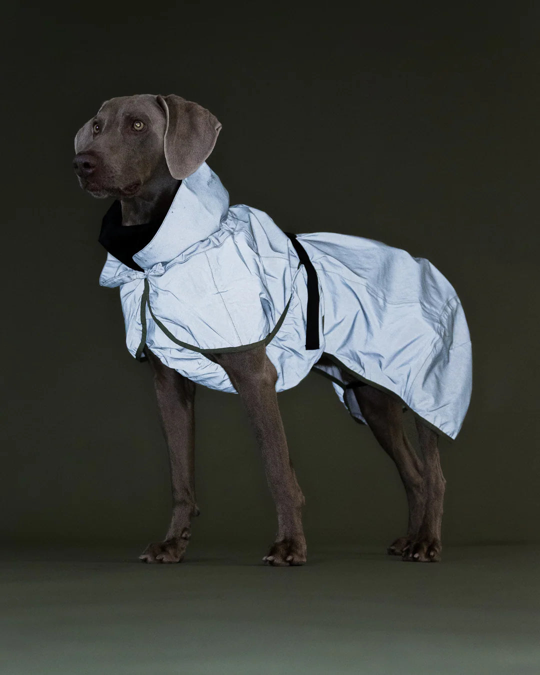 Imperméable réflechissant vert