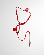 Laisse mains libres en corde Party Red