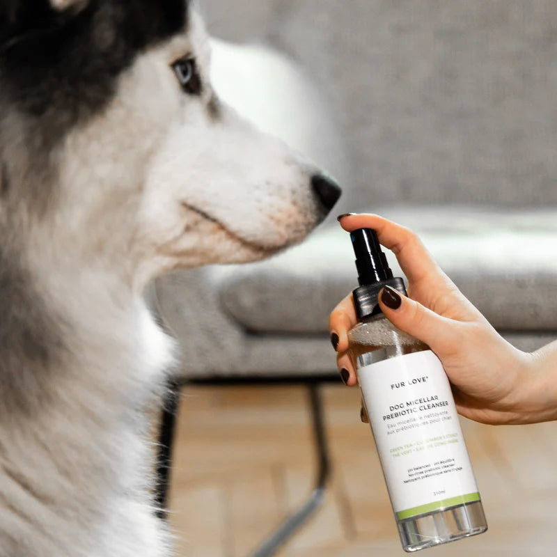 Eau Micellaire sans rinçage pour chien