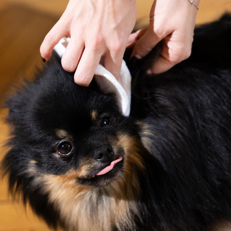 Eau Micellaire sans rinçage pour chien