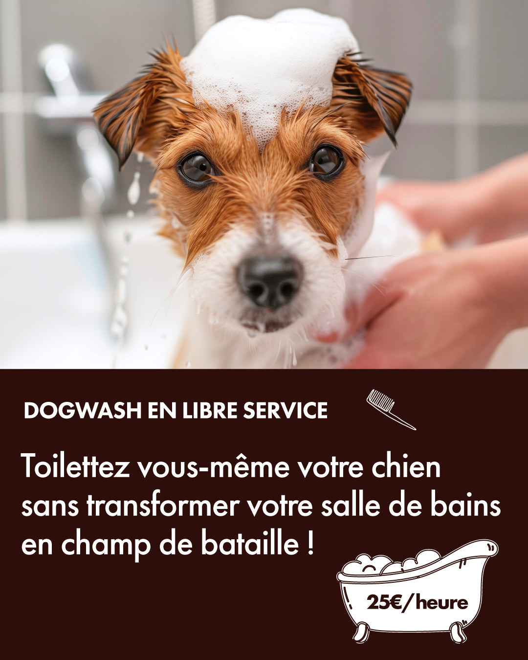 Dogwash - Lavage pour chiens en self-service