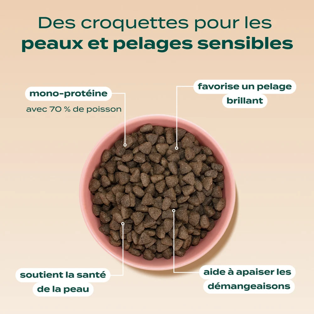 Croquettes sans céréales au Saumon - 2,5kg
