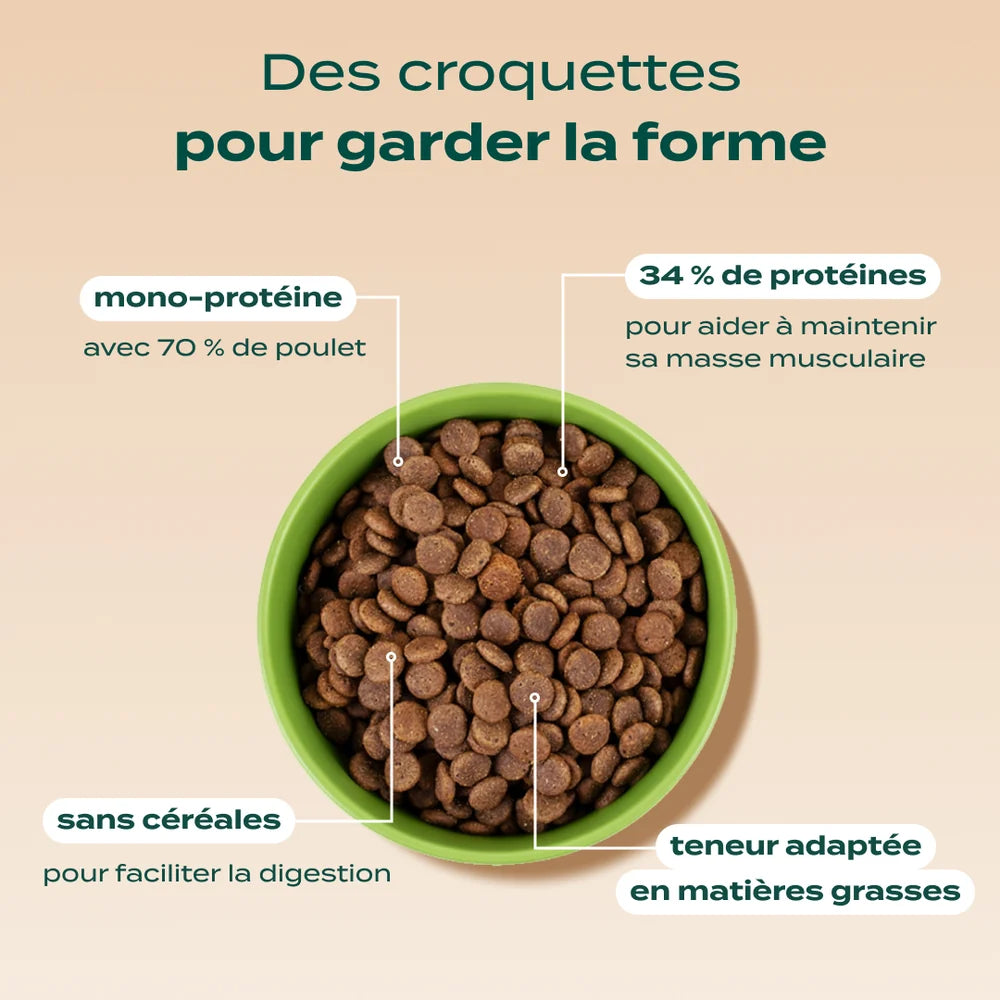 Croquettes sans céréales au poulet - 2,5kg