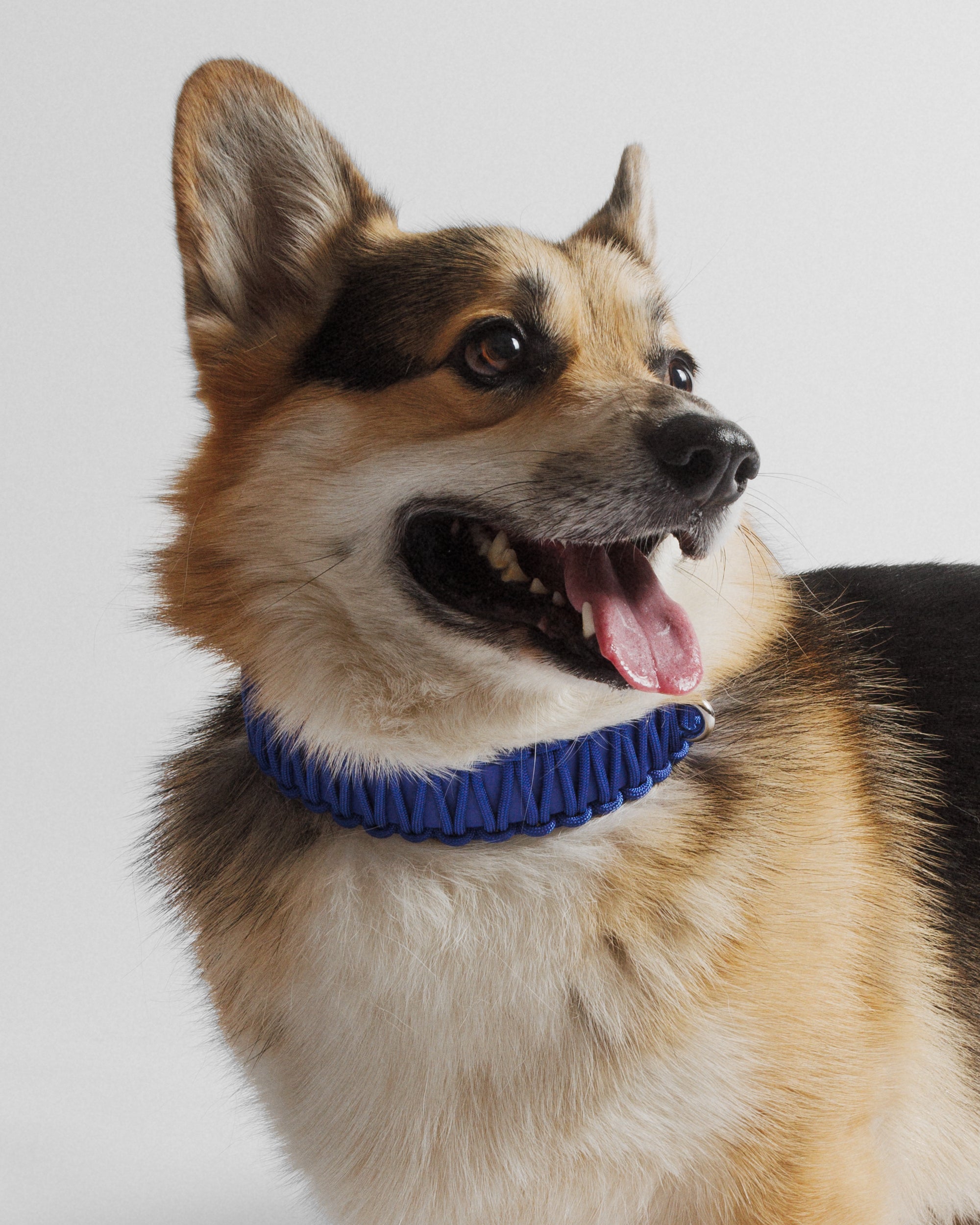 Collier bi-matière bleu électrique