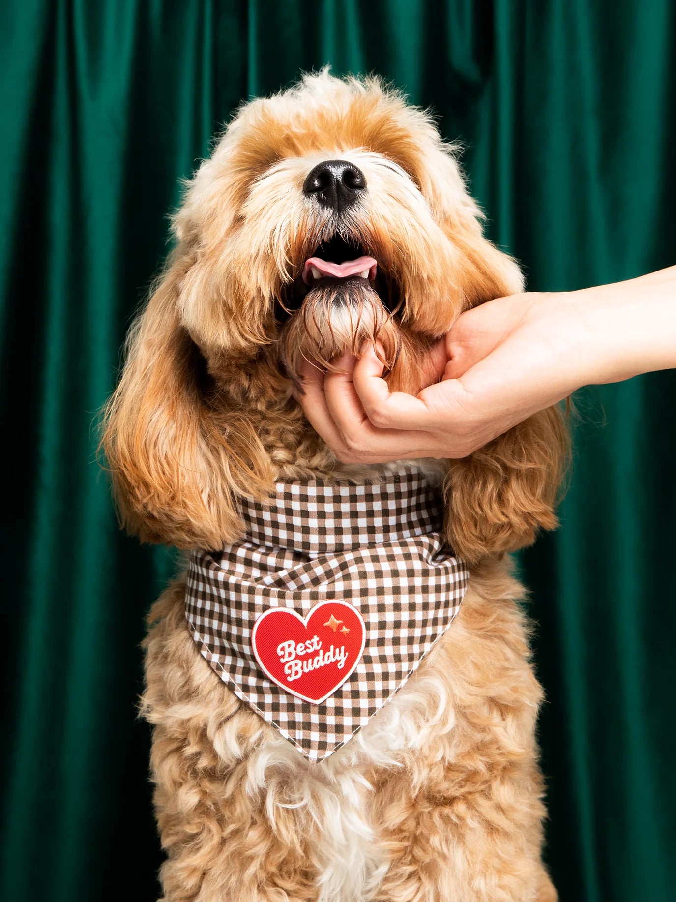 Best Buddy | Patch à repasser pour animaux de compagnie
