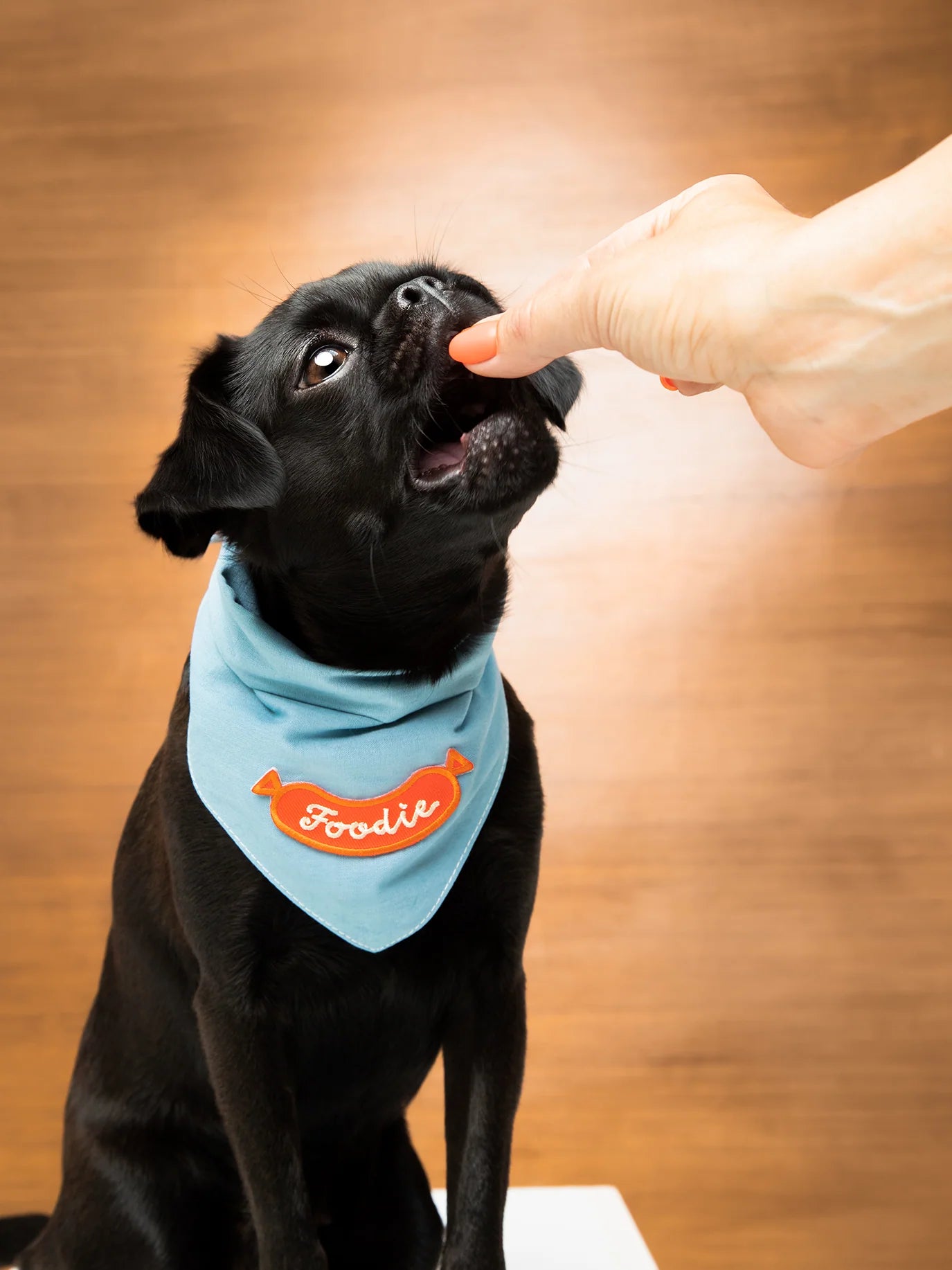 Foodie | Patch à repasser pour animaux de compagnie