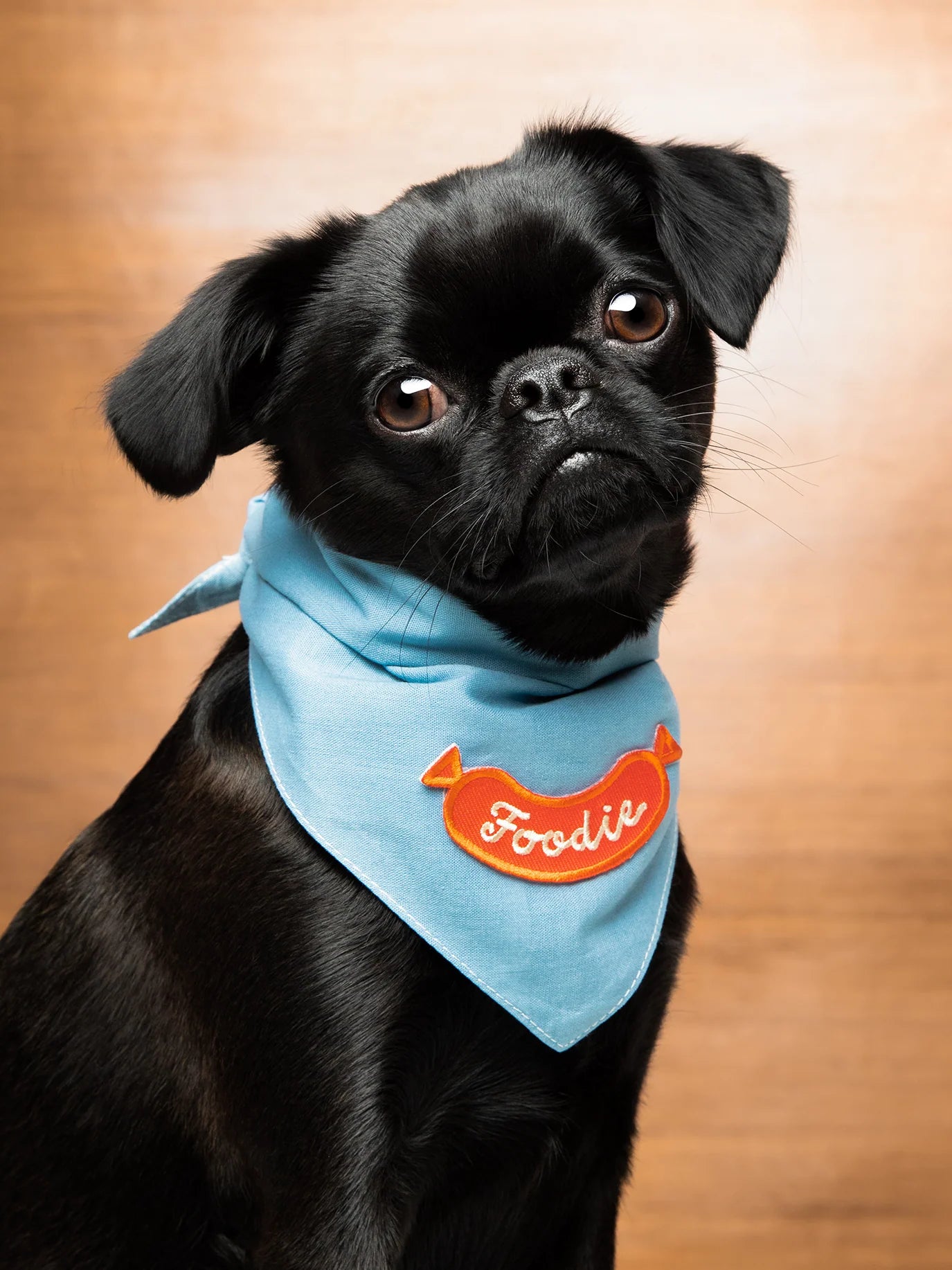 Foodie | Patch à repasser pour animaux de compagnie