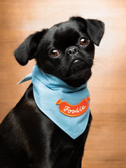 Foodie | Patch à repasser pour animaux de compagnie