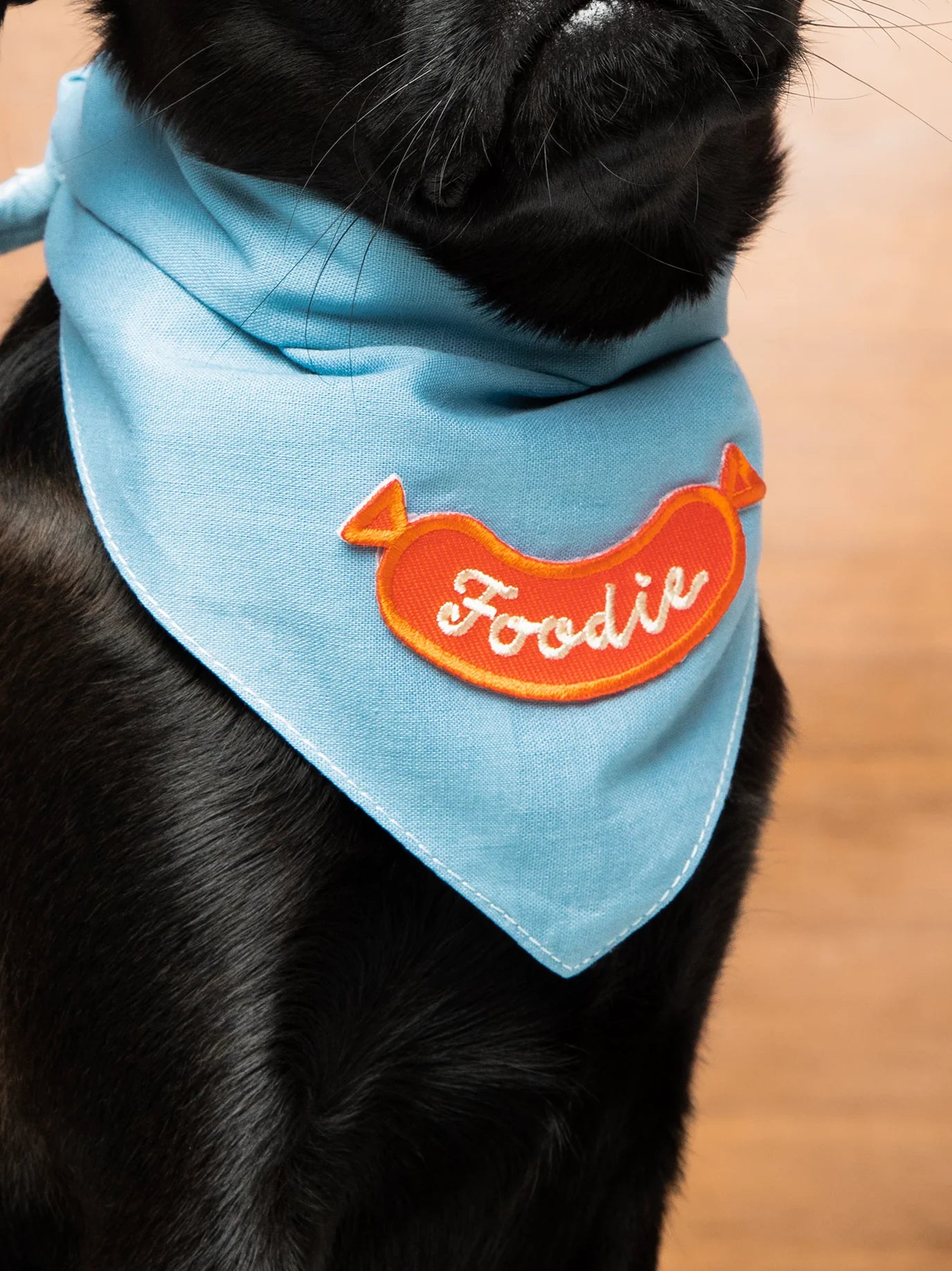 Foodie | Patch à repasser pour animaux de compagnie