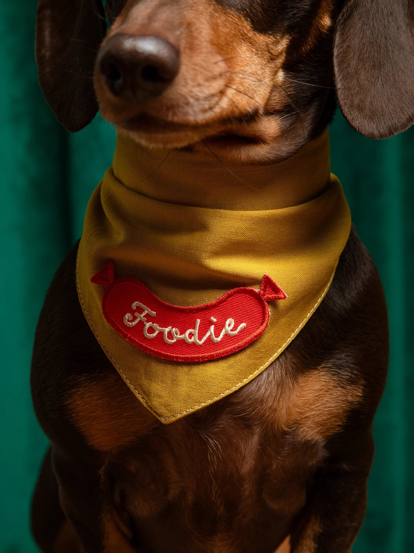 Foodie | Patch à repasser pour animaux de compagnie