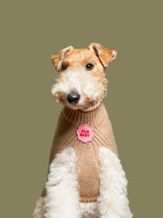 Fur Baby | Patch à repasser pour animaux de compagnie