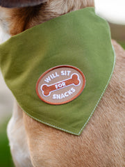 Will Sit for Snacks | Patch à repasser pour animaux de compagnie