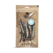 Anchois de l'Atlantique