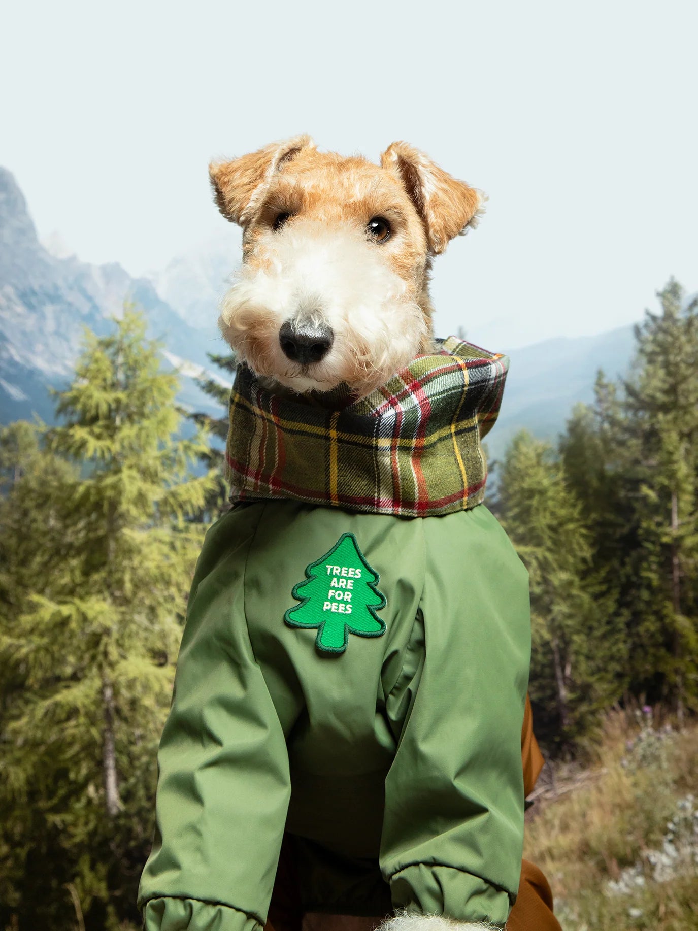Trees Are for Pees | Patch à repasser pour animaux de compagnie