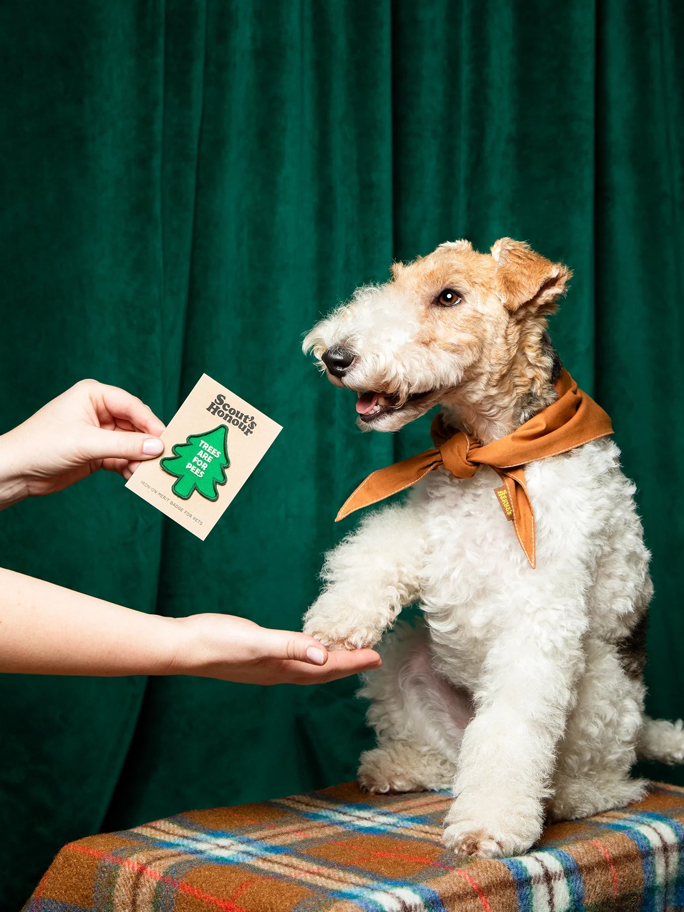 Trees Are for Pees | Patch à repasser pour animaux de compagnie