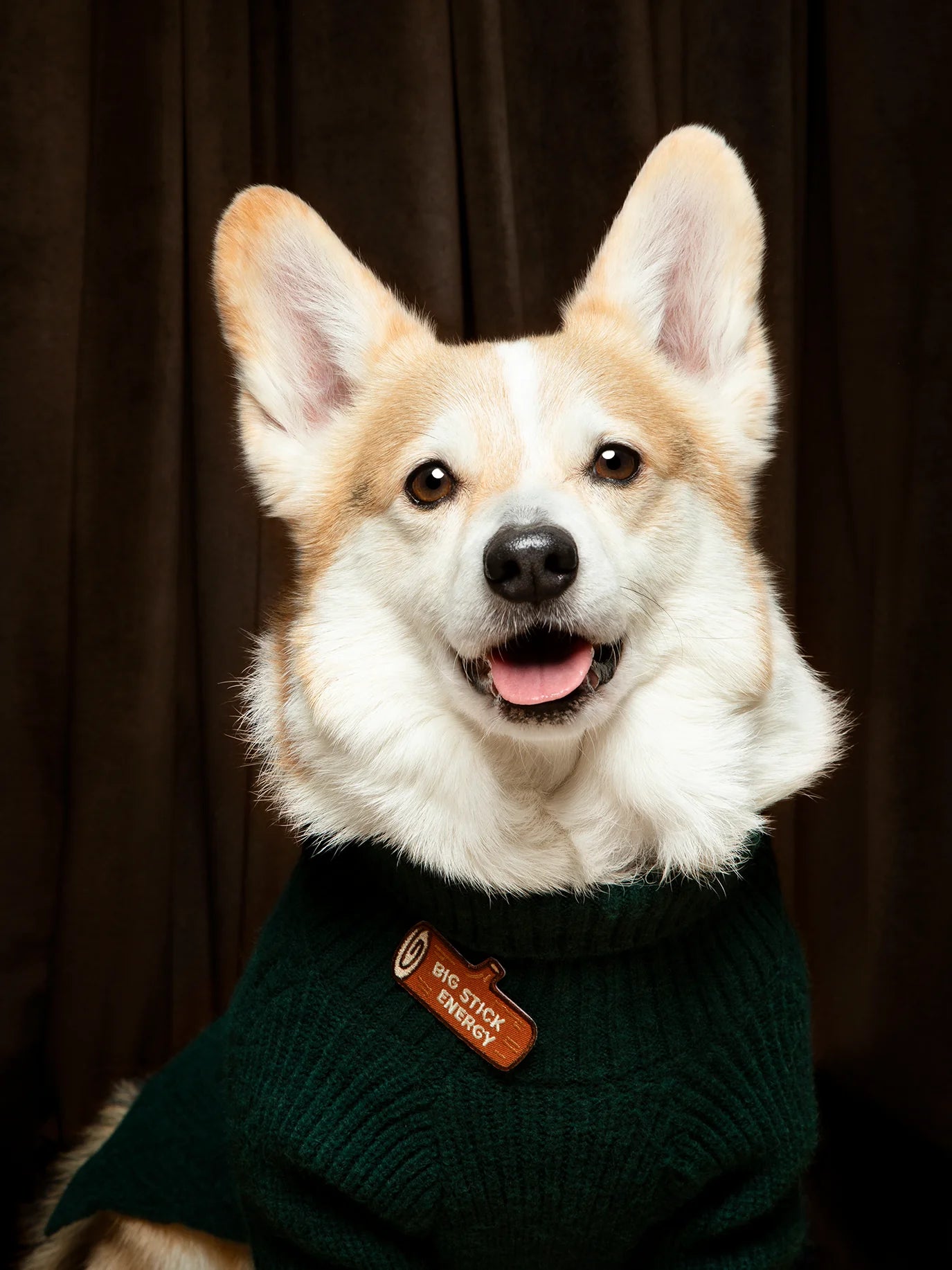 Big Stick Energy | Patch à repasser pour animaux de compagnie