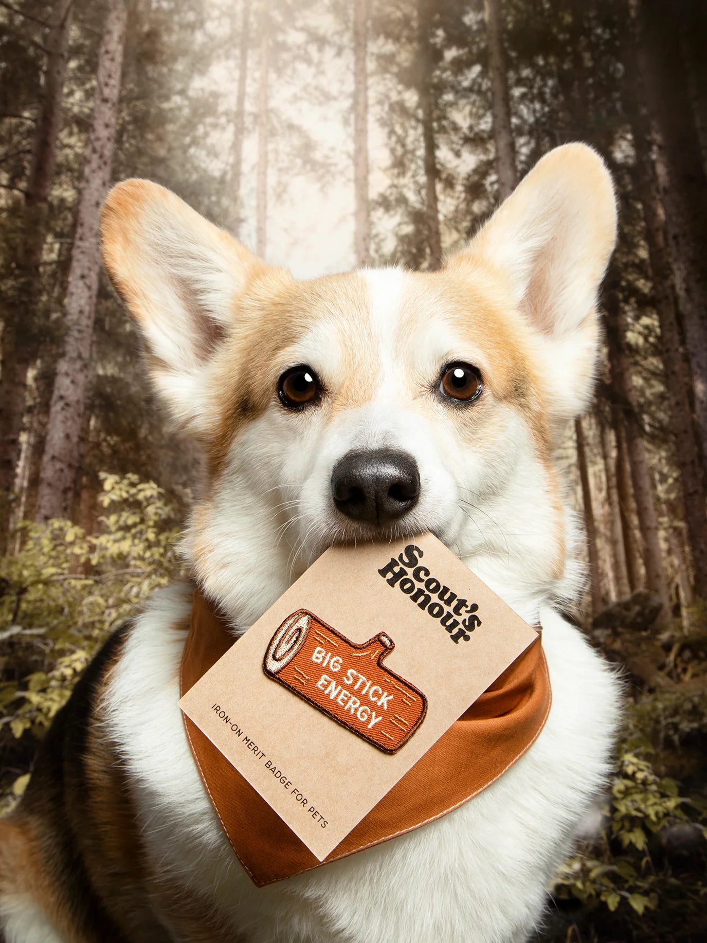 Big Stick Energy | Patch à repasser pour animaux de compagnie