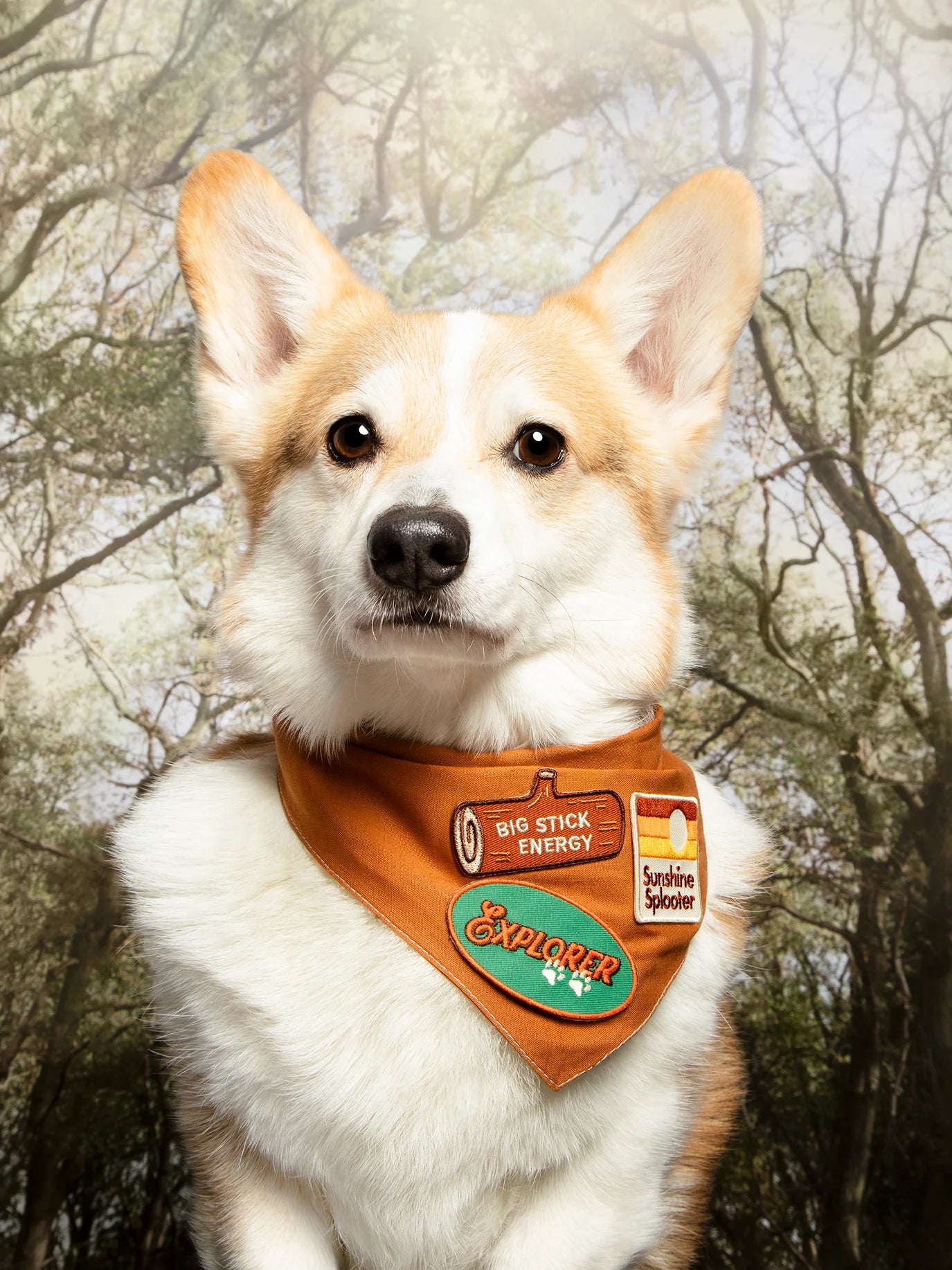 Big Stick Energy | Patch à repasser pour animaux de compagnie