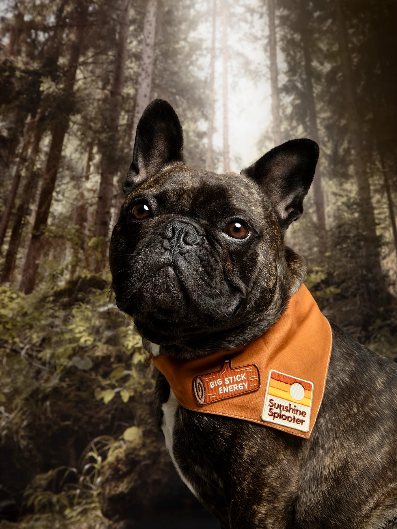 Big Stick Energy | Patch à repasser pour animaux de compagnie