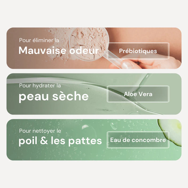 Eau Micellaire sans rinçage pour chien