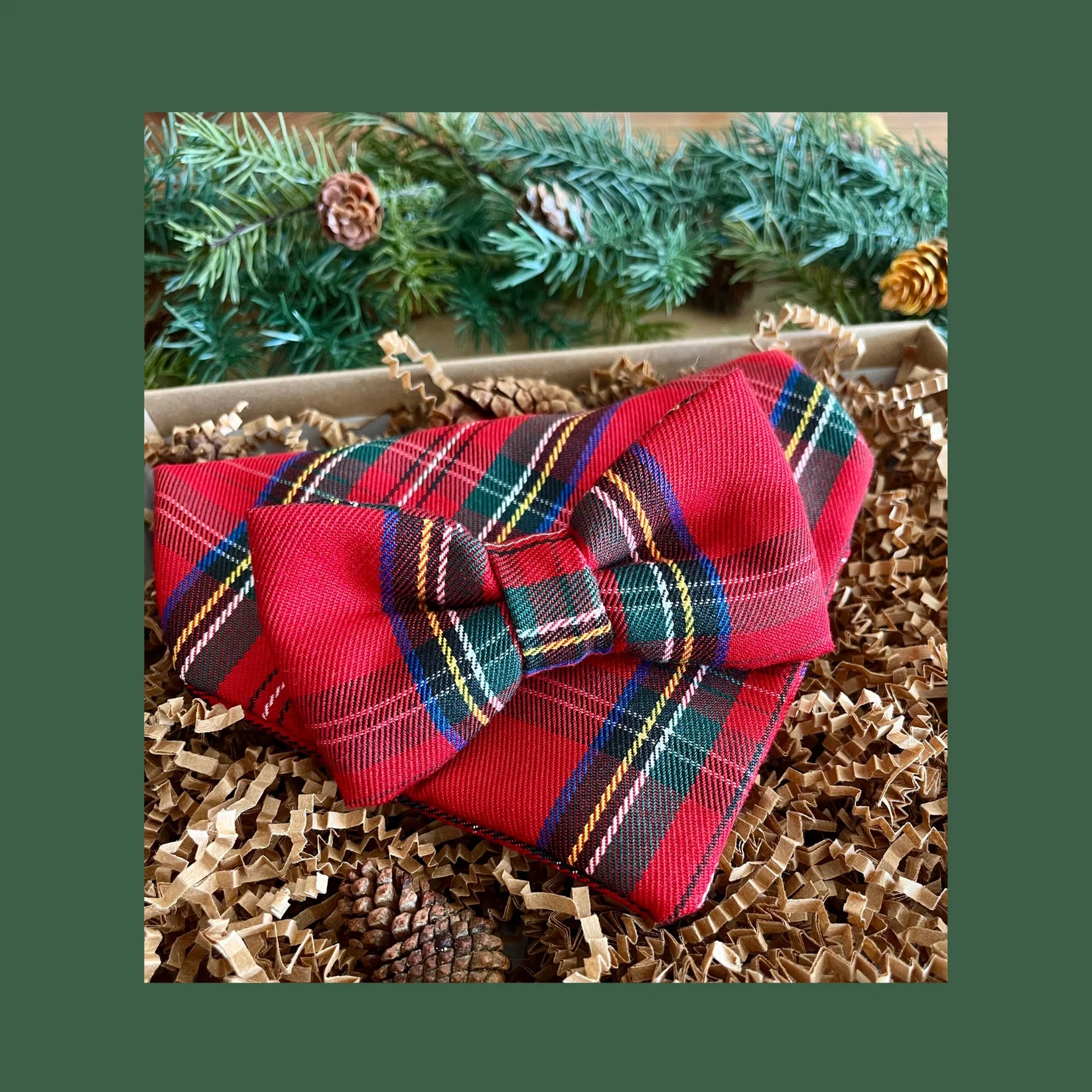 Noeud papillon à collier pour chien Tartan