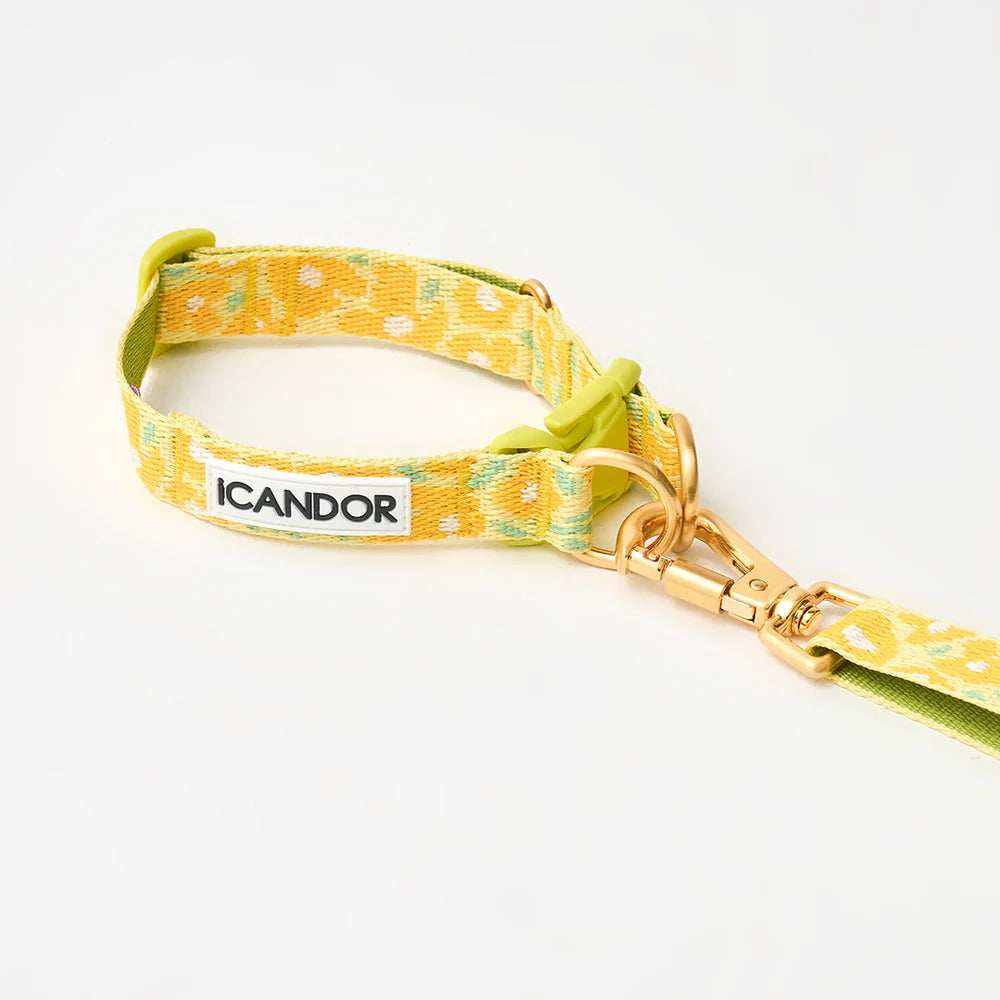 Laisse multi-positions Gentle Leash Bolt Long Big Fish