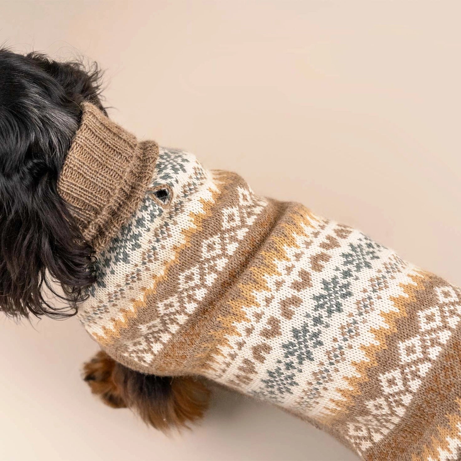 Pull pour chien en alpaga Automne