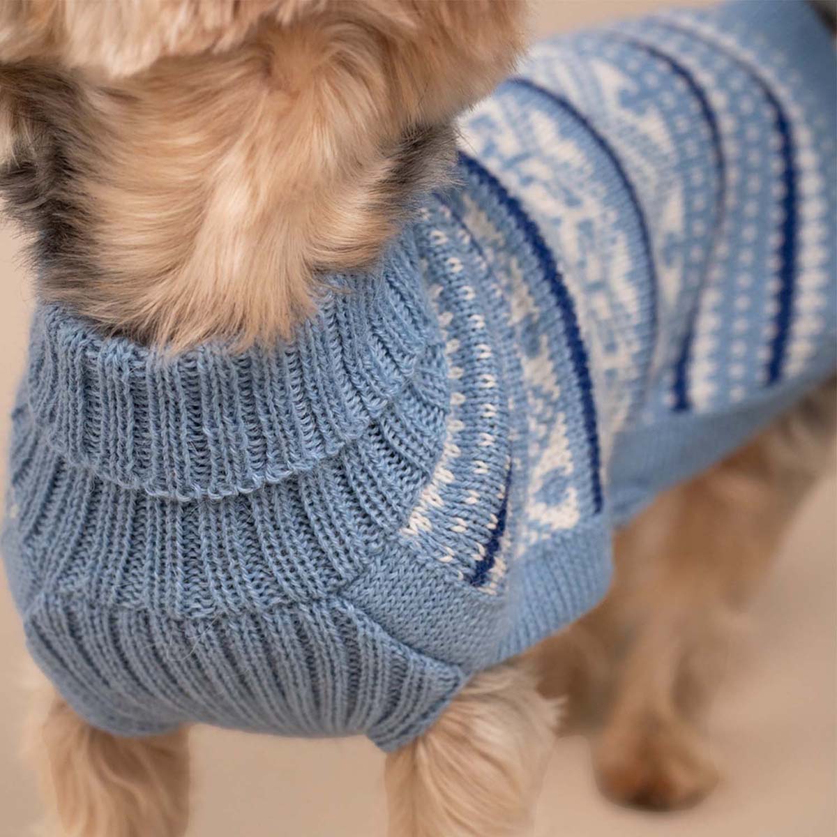 Pull pour chien en alpaga Skyline