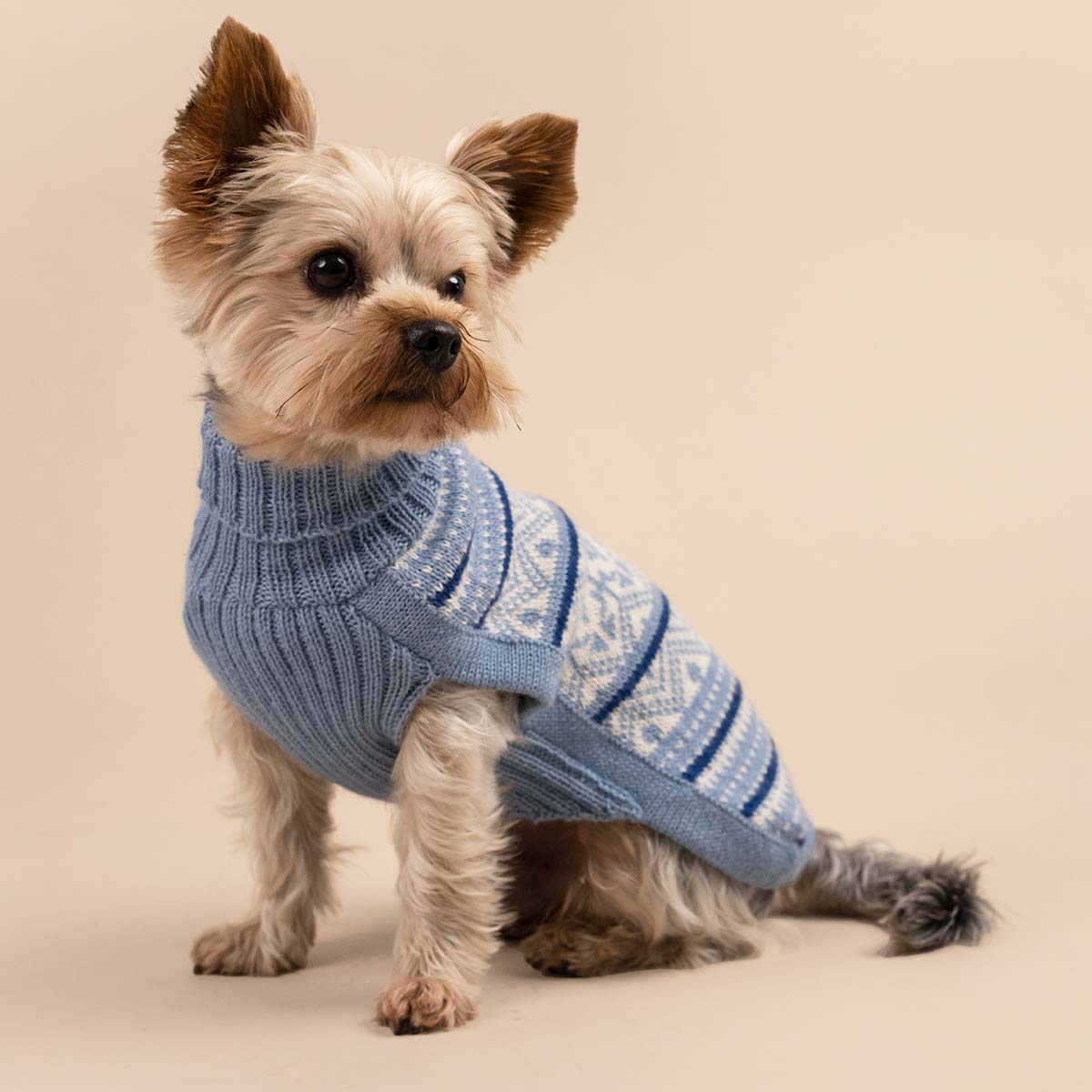 Pull pour chien en alpaga Skyline