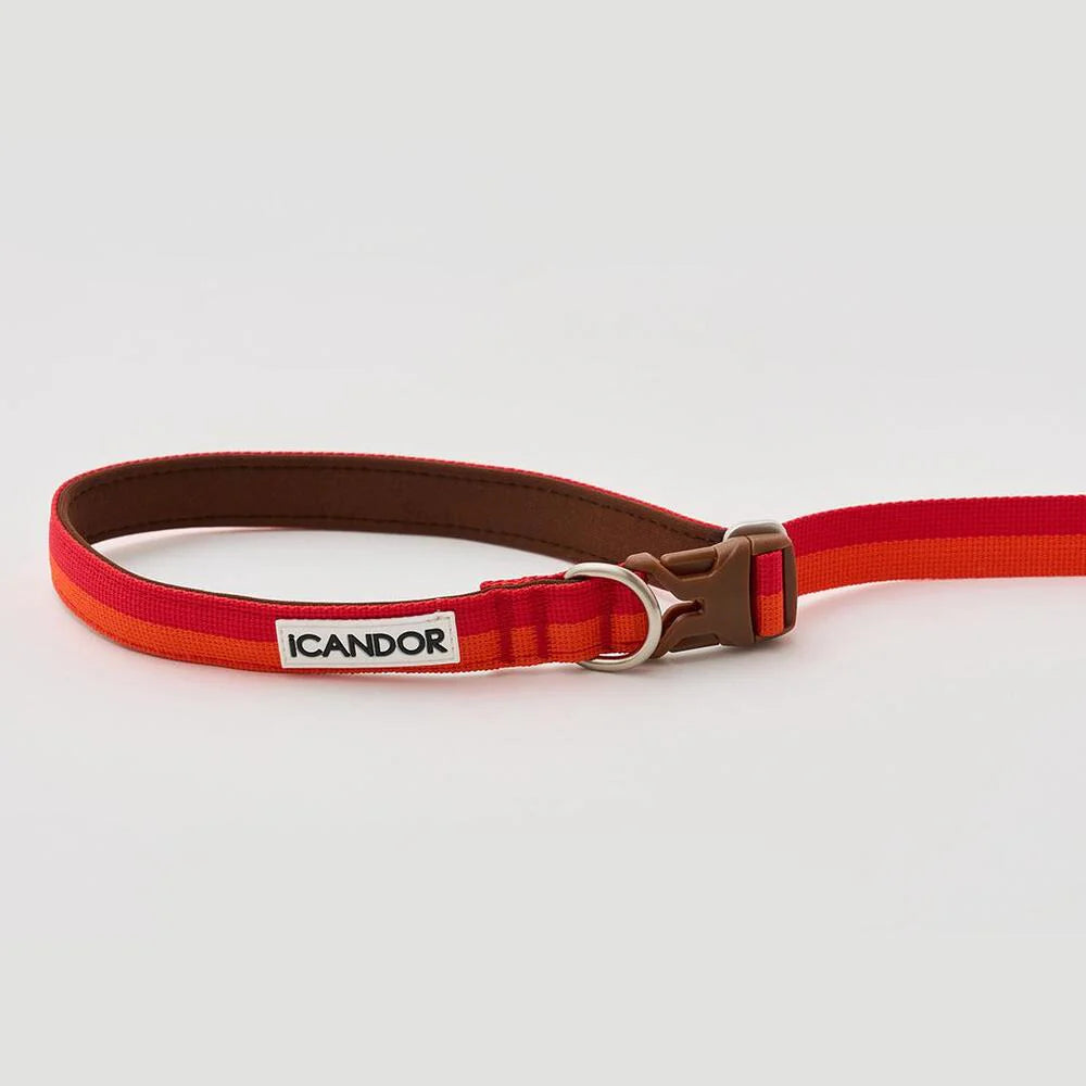 Laisse multi-positions Gentle Leash Bolt Long Sunset