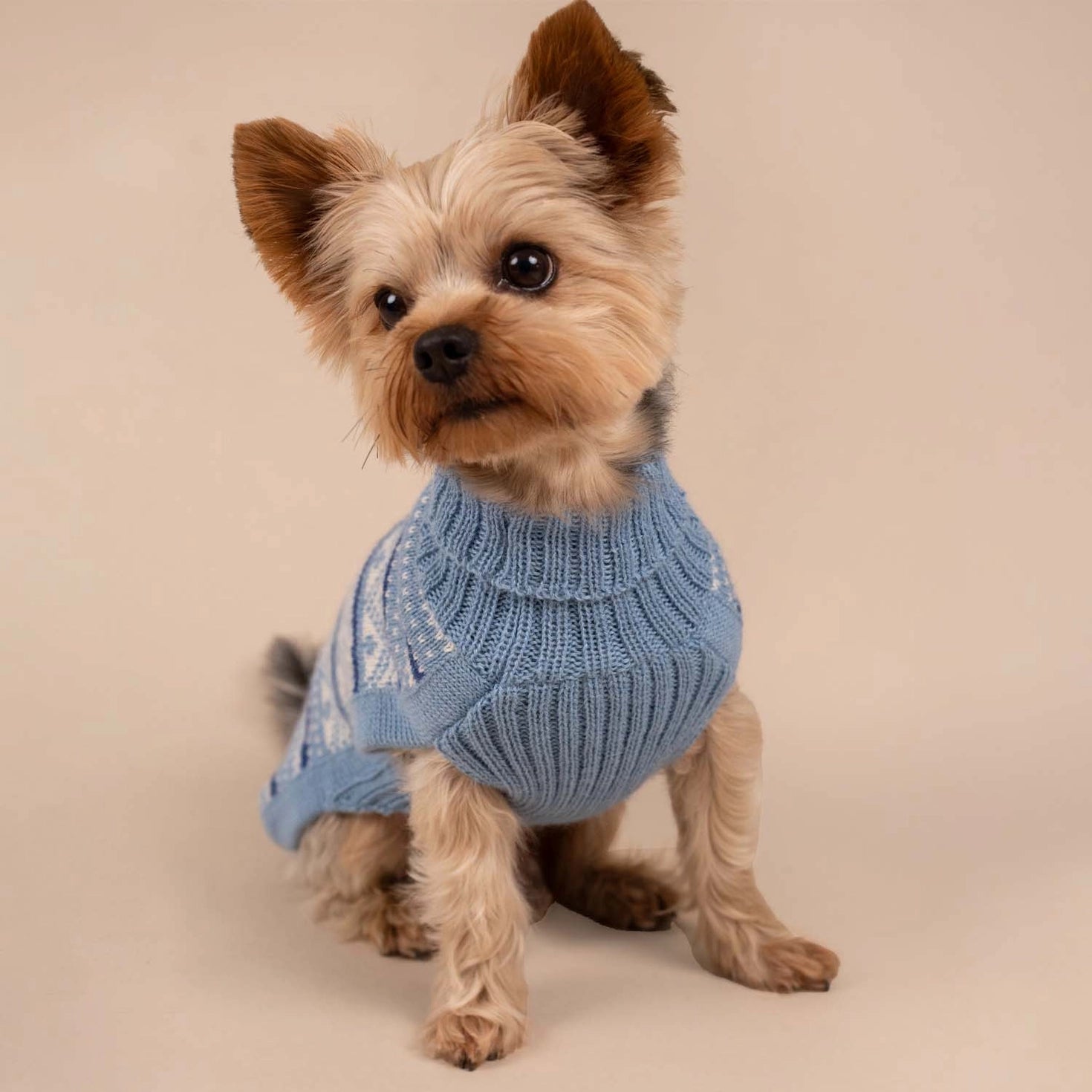 Pull pour chien en alpaga Skyline