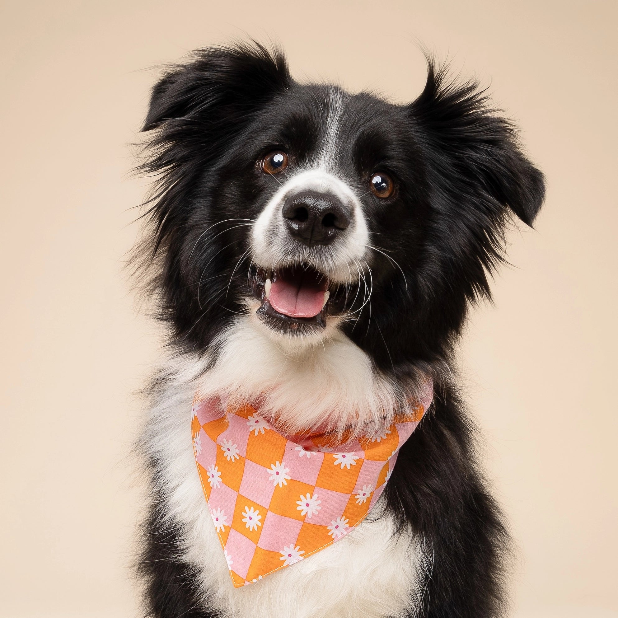 Bandana orange et rose à damiers