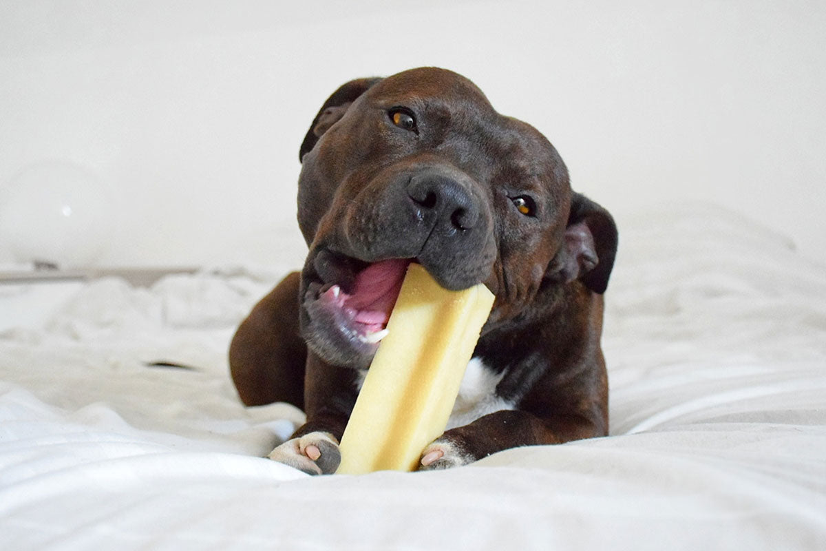 Bâtonnet de fromage nature Filou