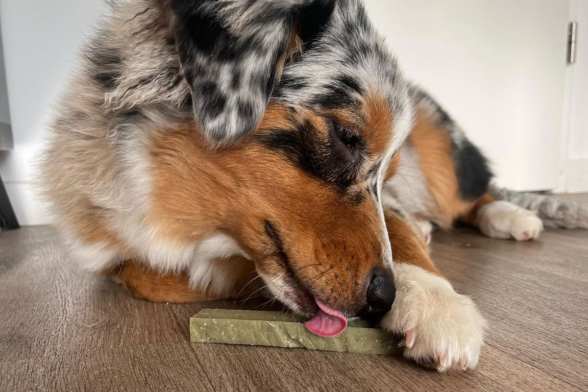 Bâtonnet de fromage à la spiruline Filou