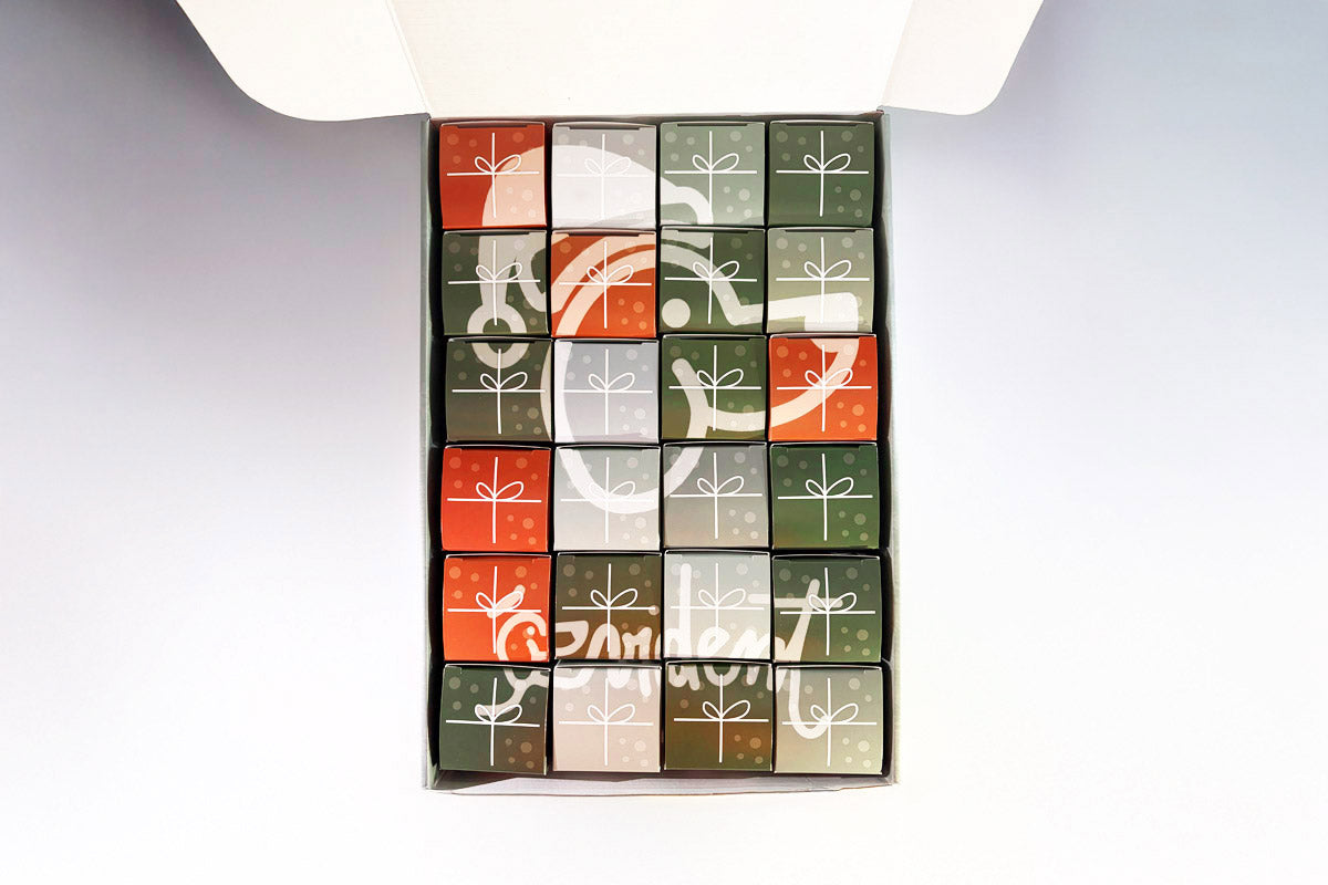 Calendrier de l'avent pour chien