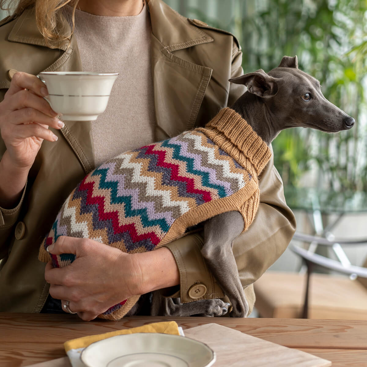 Pull pour chien en alpaga à chevrons