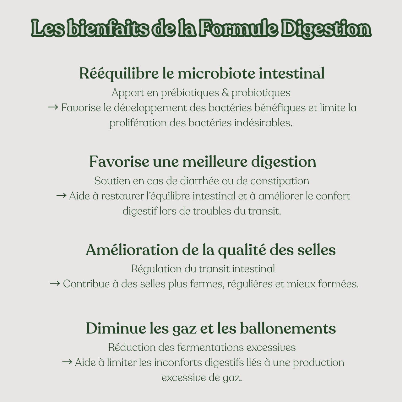 Complément digestion - 120 bouchées