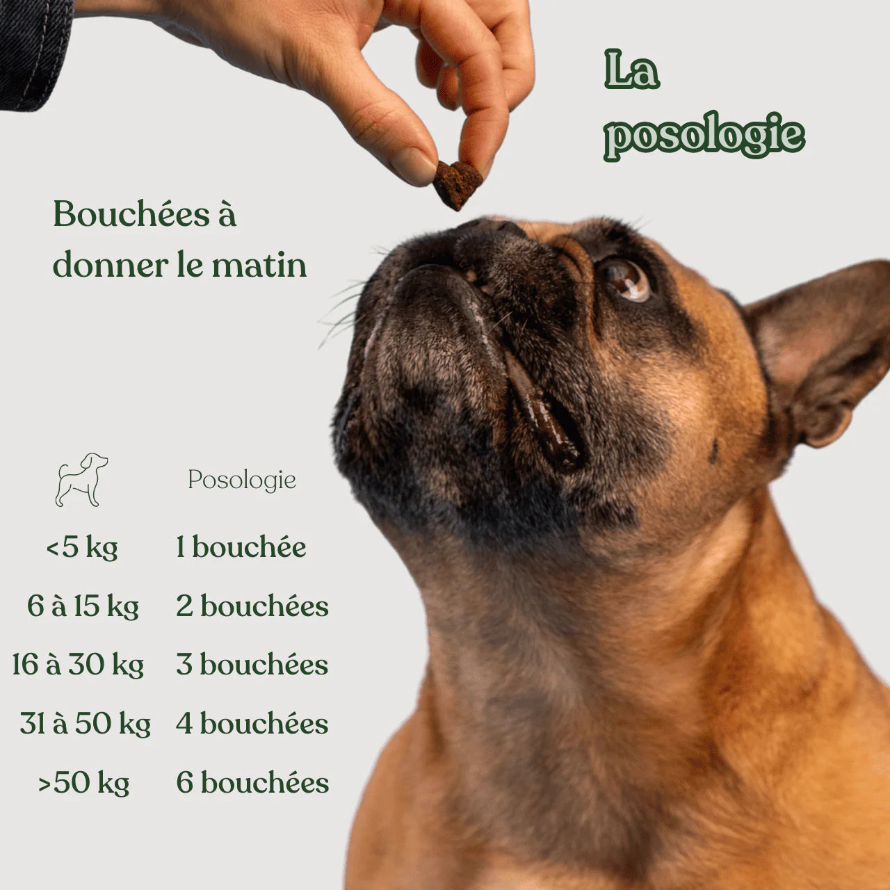 Complément digestion - 120 bouchées