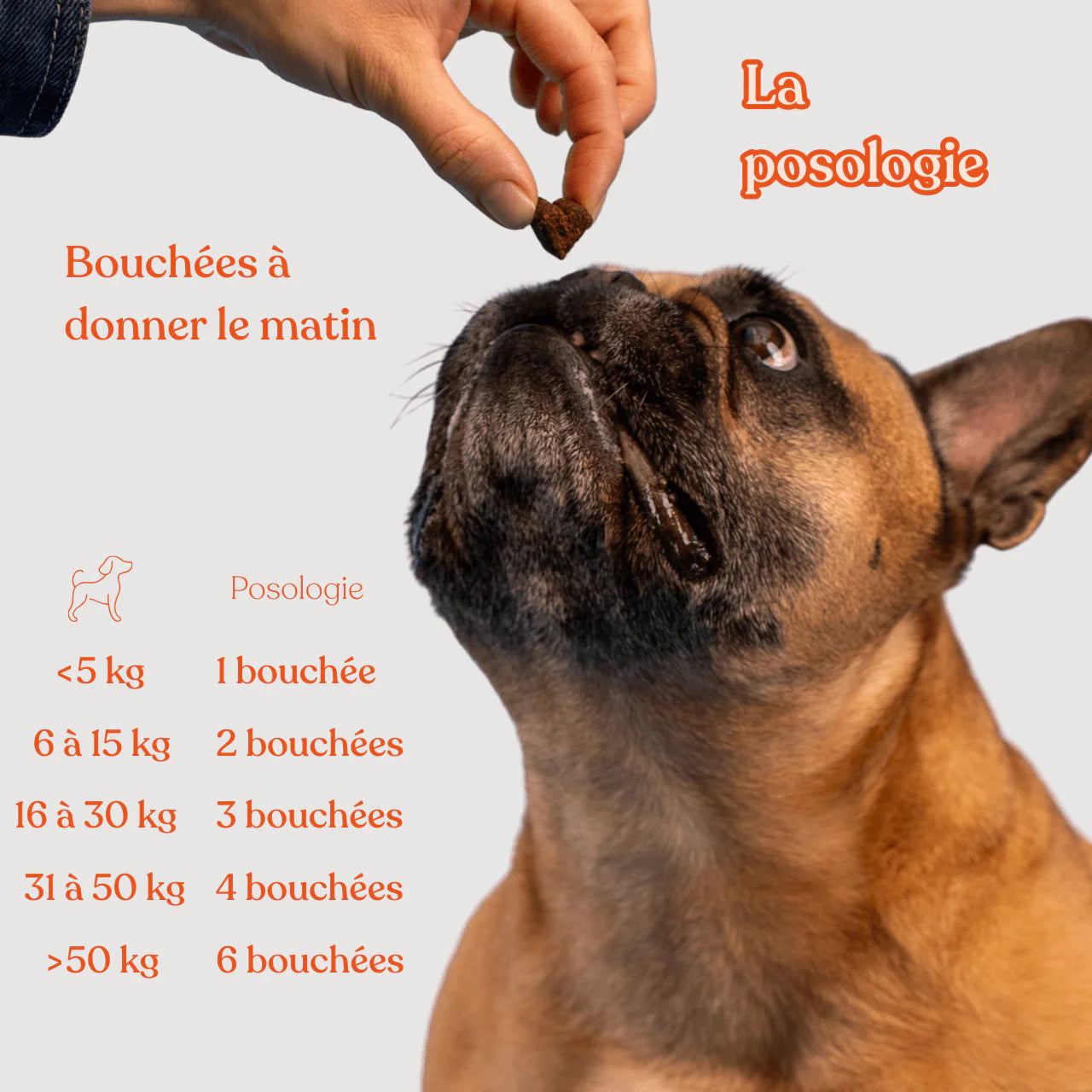 Complément anti-démangeaisons - 120 bouchées