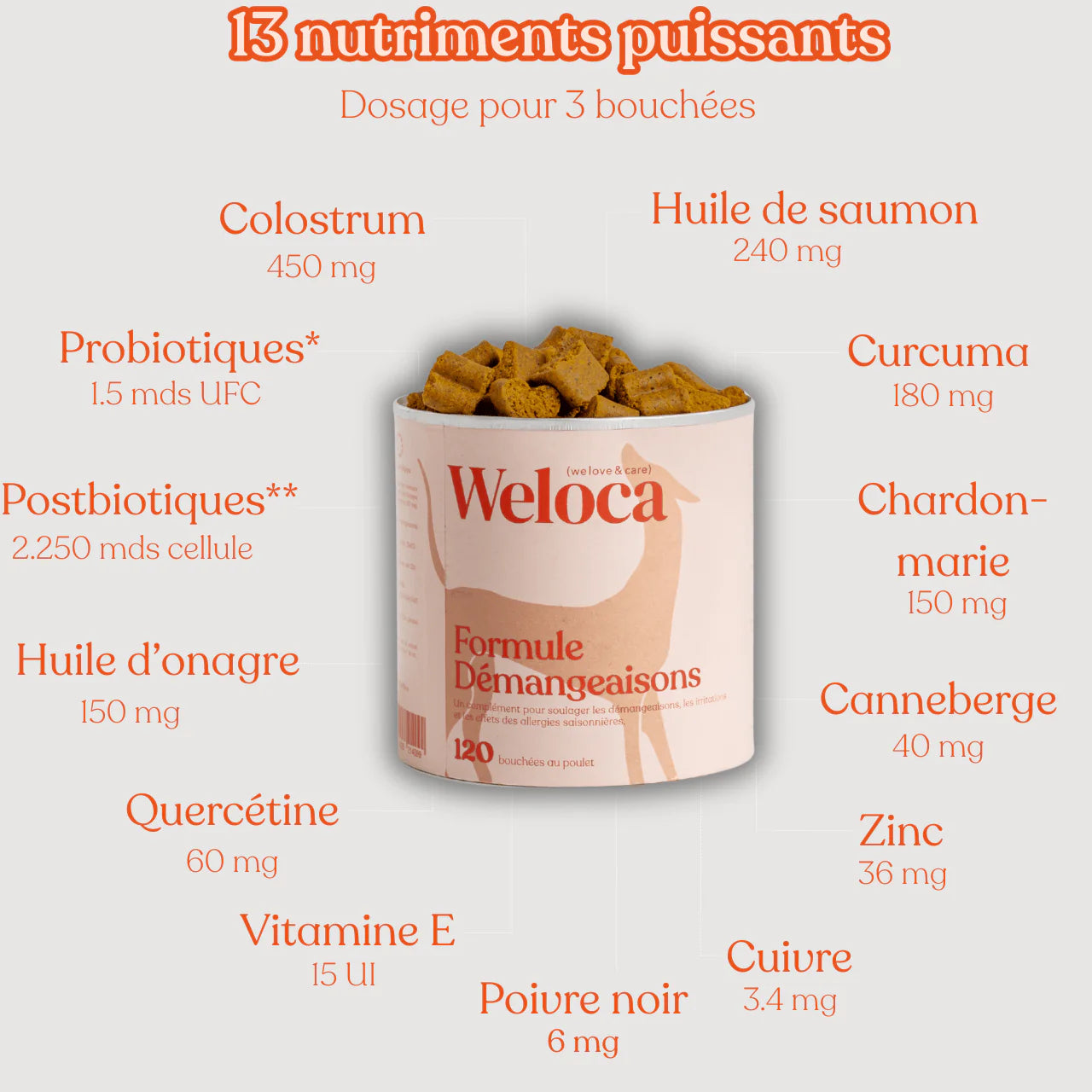 Complément anti-démangeaisons - 120 bouchées