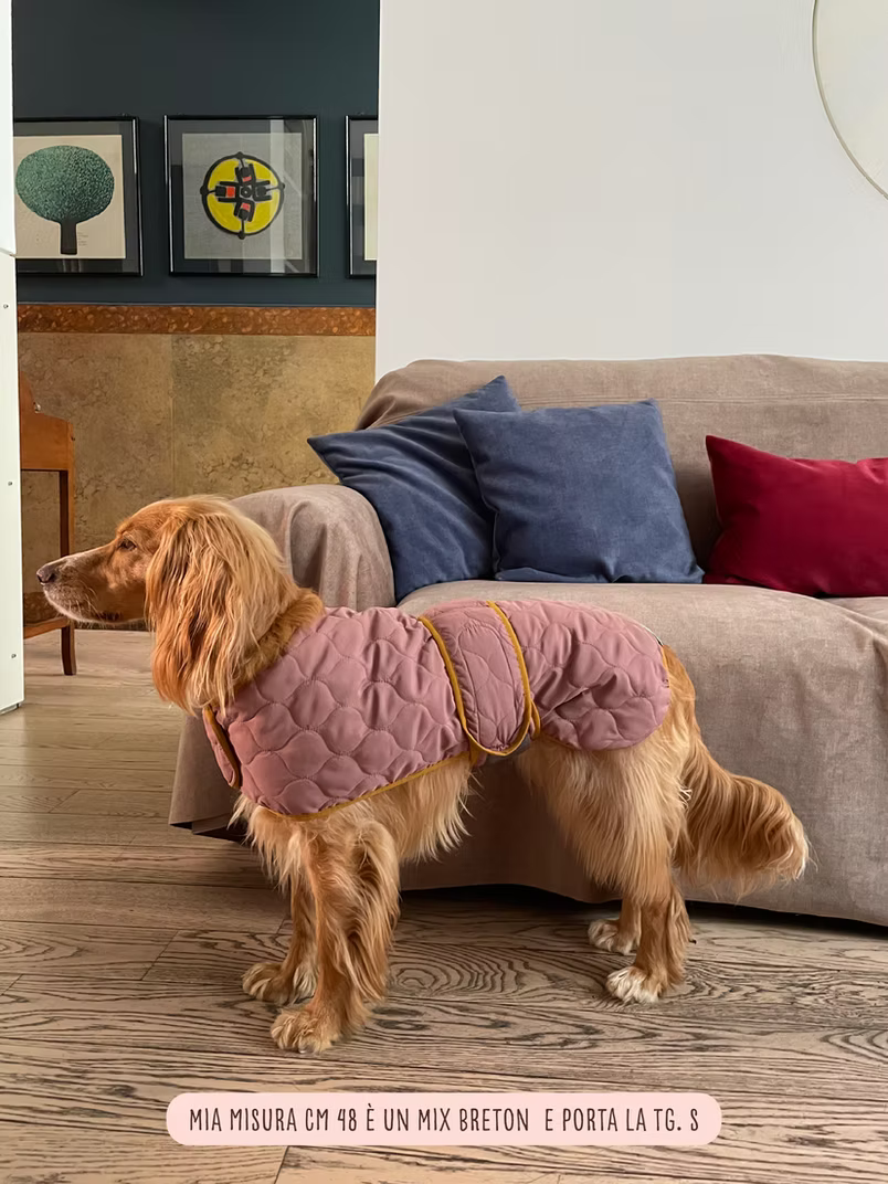 Manteau matelassé Zigzagoo