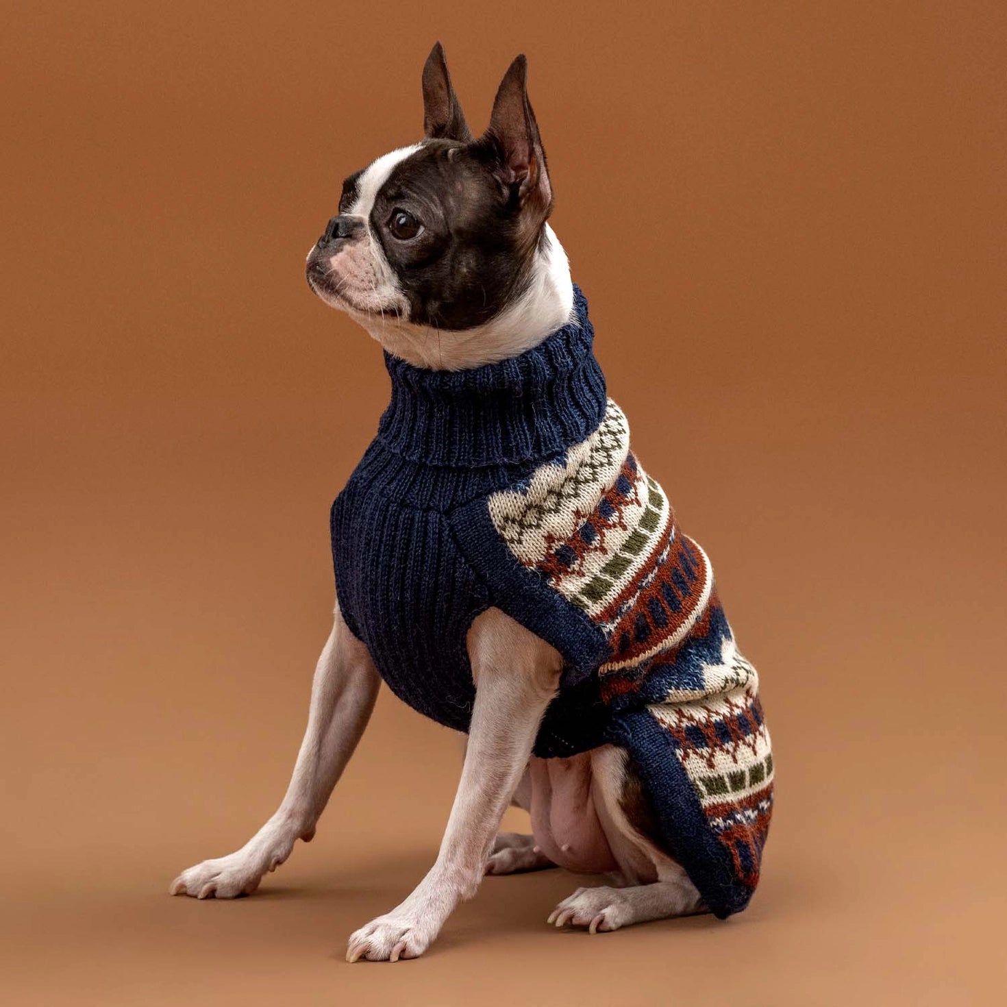 Pull pour chien en alpaga Iceberg
