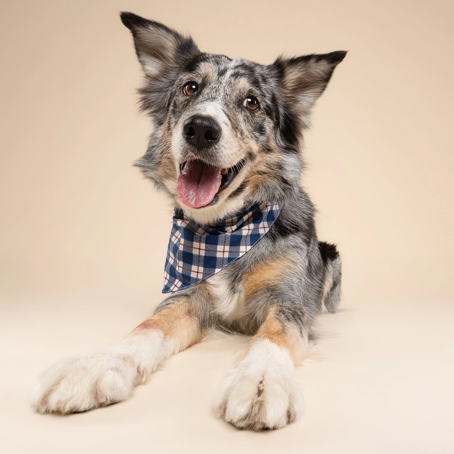 Bandana à carreaux bleu et rouge